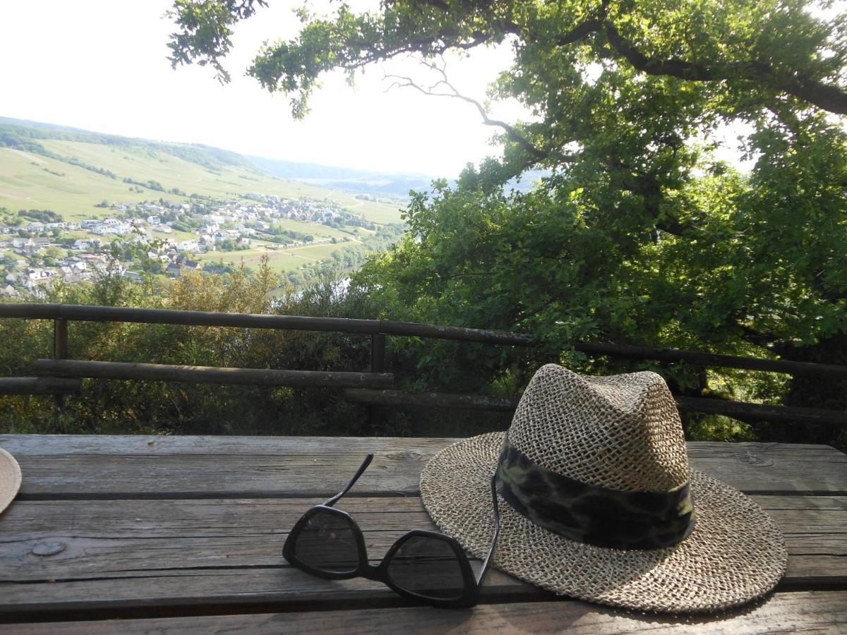 브라운버그 Ferienhaus Mosel 빌라 외부 사진