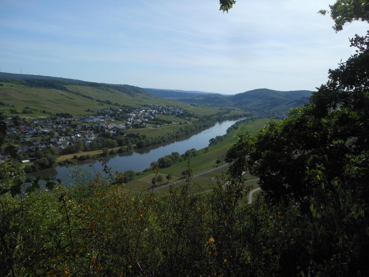 브라운버그 Ferienhaus Mosel 빌라 외부 사진