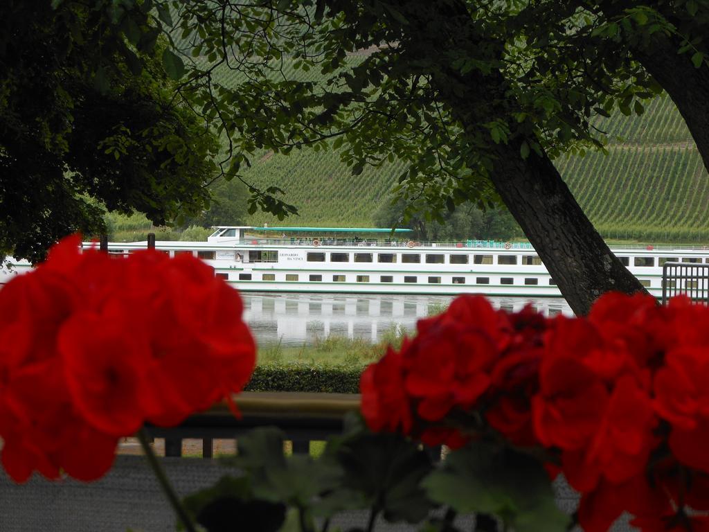 브라운버그 Ferienhaus Mosel 빌라 외부 사진